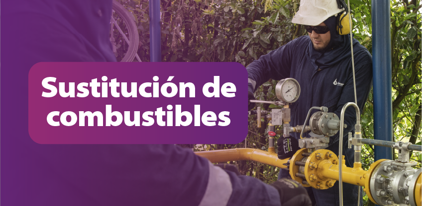 Sustitucion de combustibles