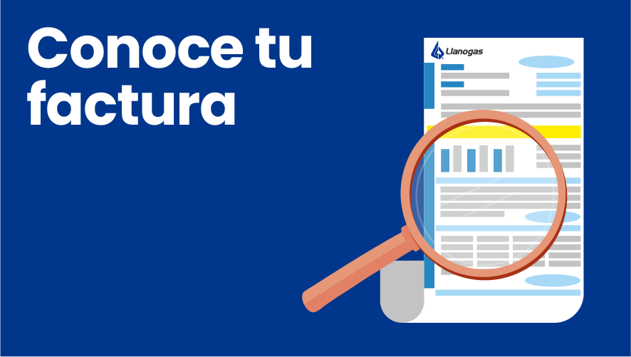 Conoce tu factura